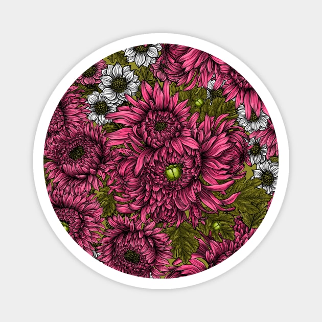 Pink and white chrysanthemum flowers and green bettles Magnet by katerinamk